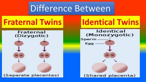 Fraternal Twins: Identical vs. Fraternal Twins.